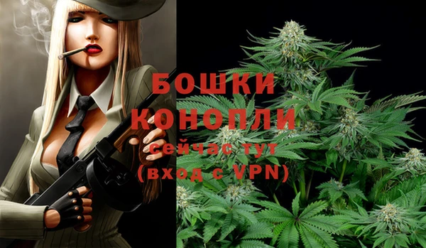 МДПВ Козельск