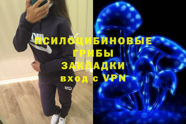 МДПВ Козельск
