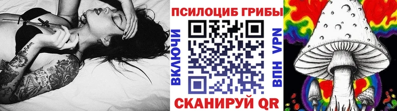 Купить  Солигалич  Галлюциногенные грибы MAGIC MUSHROOMS 